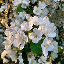 Отдых в Карелии в июне