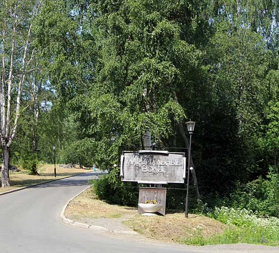 Марциальные воды